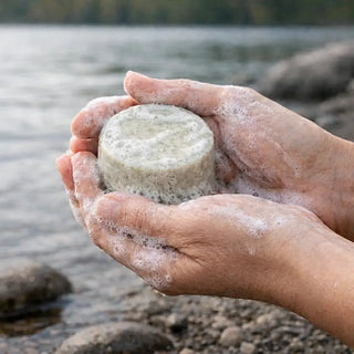 Naturlig Schampokaka Sjögräs från Lyckåsen i naturen