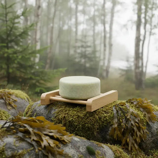Naturlig Schampokaka Sjögräs från Lyckåsen i skogen
